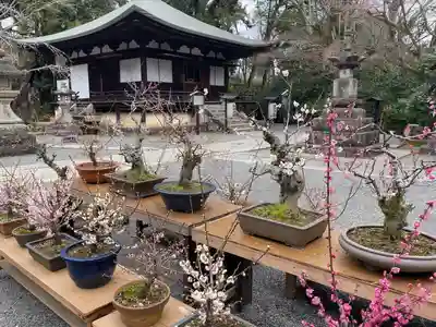 石山寺(滋賀県)