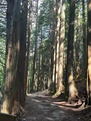 三峯神社奥宮(埼玉県)