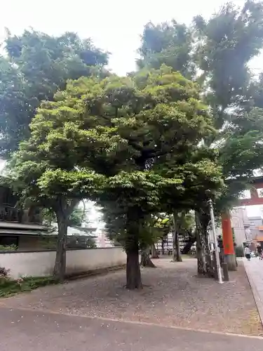 旗岡八幡神社(東京都)