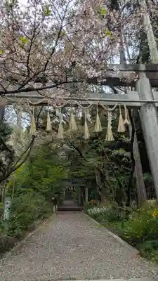 椎尾神社(大阪府)