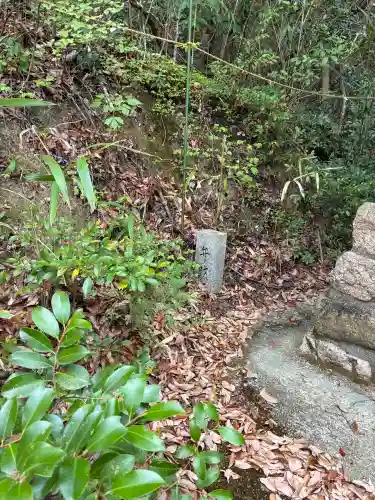 中野皇太神社の{uncategorized: "未分類", other: "その他", undefined: "問題あり", building: "その他建物", grave: "お墓", sacred_gate: "鳥居", guardian: "狛犬", statue: "像", buddha: "仏像", history: "歴史", nature: "自然", garden: "庭園", animal: "動物", pagoda: "塔", temizu: "手水舎", mountain_gate: "山門・神門", sanctuary: "本殿・本堂", subordinate: "末社・摂社", art: "芸術", scenery: "景色", jizo: "地蔵", ema: "絵馬", goshuin: "御朱印", omikuji: "おみくじ", items: "授与品その他", amulet: "お守り", goshuincho: "御朱印帳", eats: "食事", festival: "お祭り", votive_dance: "神楽", shichigosan: "七五三参", wedding: "結婚式", experience: "体験その他", initially: "初詣", around: "周辺", anti_infection: "感染症対策"}
