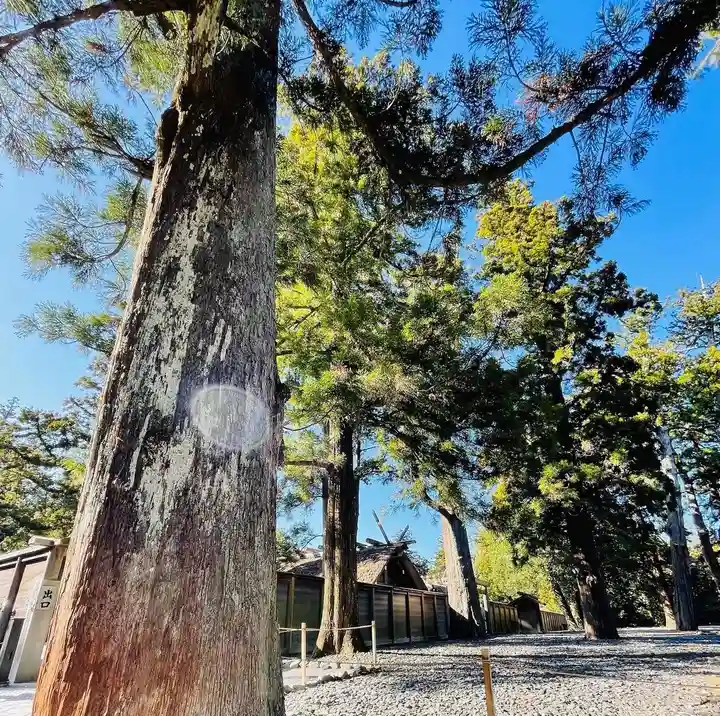伊勢神宮外宮(豊受大神宮)(三重県)