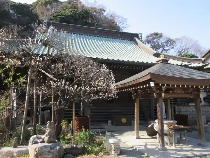 青蓮寺の本殿・本堂