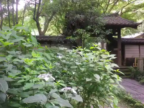 瑞泉寺のその他建物