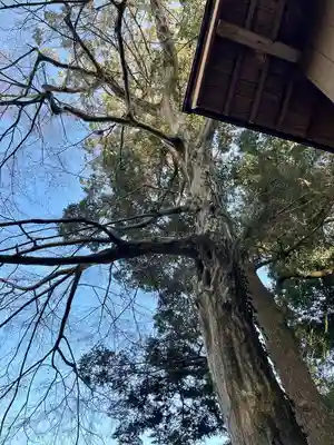 摩利支天塚古墳(摩利支天尊)(栃木県)