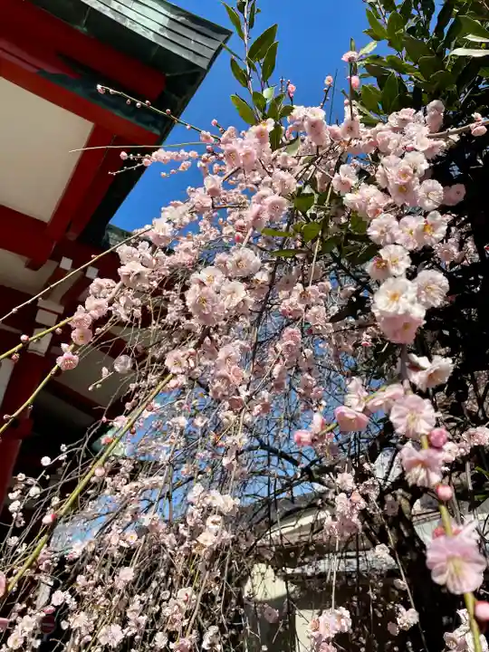 筑土八幡神社(東京都)