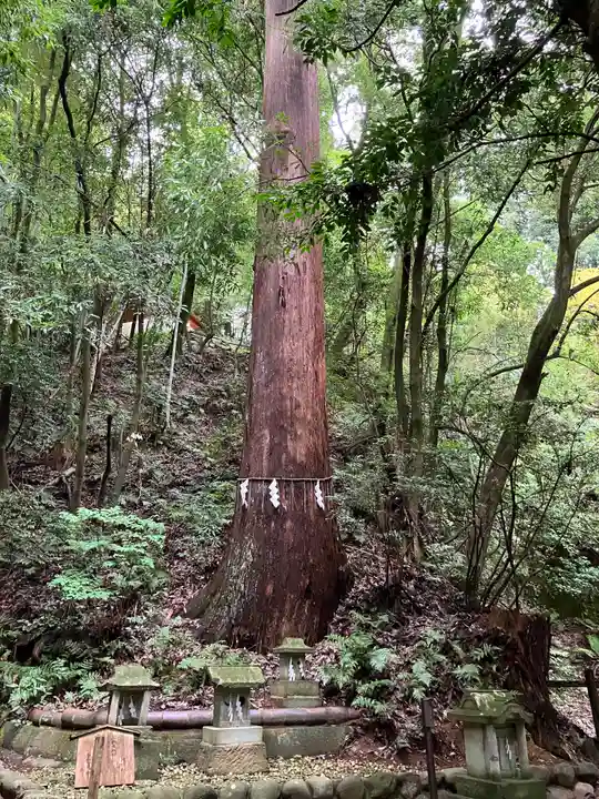 舟津神社(福井県)