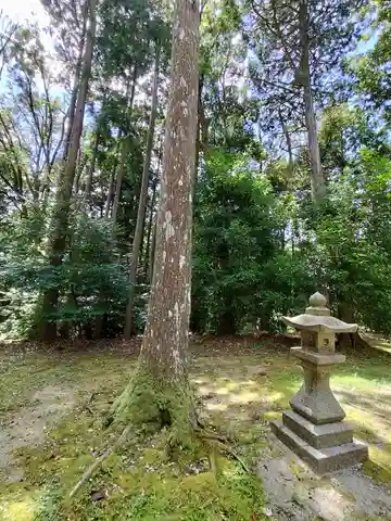 素盞嗚尊神社(大阪府)