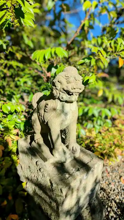 菊田神社の狛犬