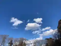 成田熊野神社の自然