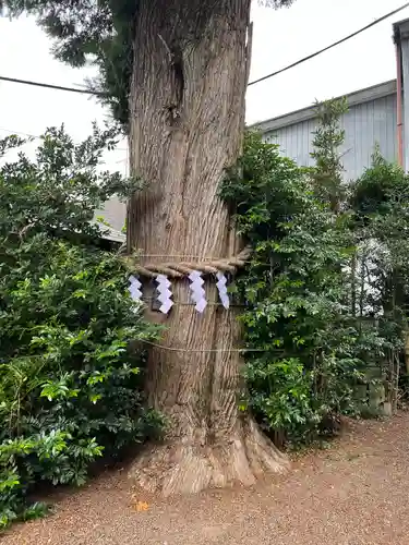 健田須賀神社(茨城県)