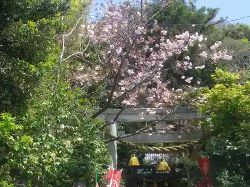 八雲神社の鳥居