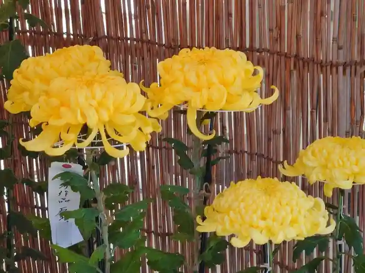 呑龍上人秩父教会(埼玉県)