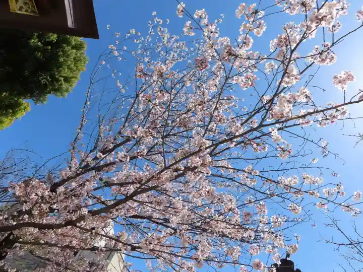 三輪神社の自然