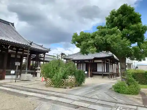 南真経寺の建物その他