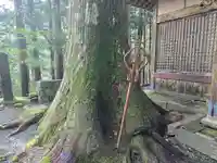 阿弥陀寺 奥之院浄土堂(和歌山県)