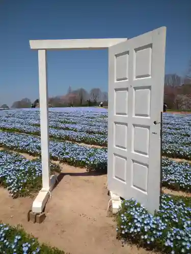 巳徳神社の周辺