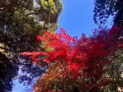 筑波山神社(茨城県)