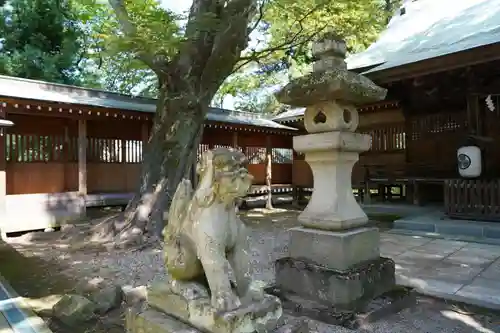 蠶養國神社の狛犬