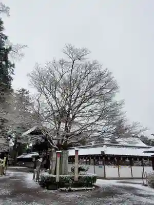 沙沙貴神社のその他建物