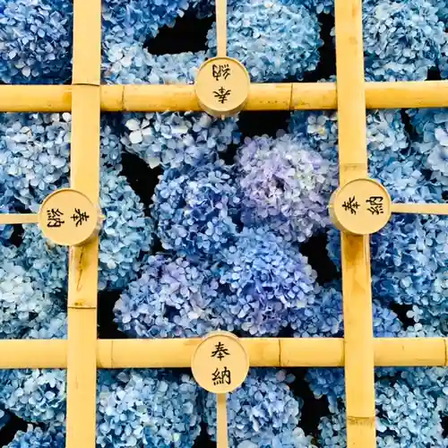 土津神社｜こどもと出世の神さまの手水舎