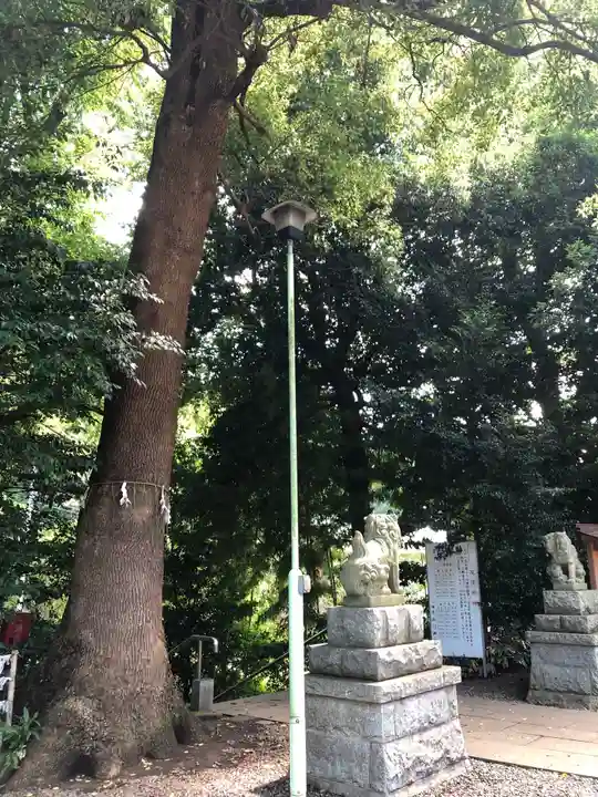 南沢氷川神社のその他建物