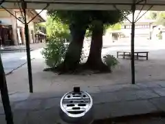 生國魂神社の建物その他