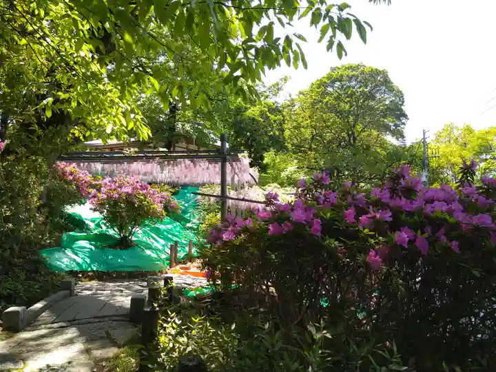阿智神社(岡山県)