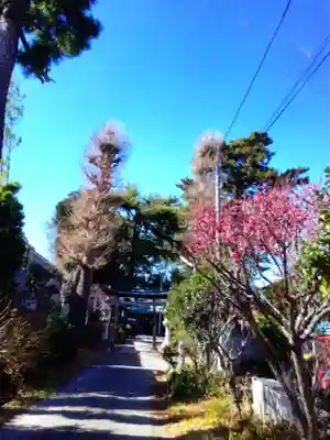 田端神社(東京都)