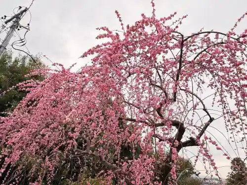 針綱神社の{uncategorized: "未分類", other: "その他", undefined: "問題あり", building: "その他建物", grave: "お墓", sacred_gate: "鳥居", guardian: "狛犬", statue: "像", buddha: "仏像", history: "歴史", nature: "自然", garden: "庭園", animal: "動物", pagoda: "塔", temizu: "手水舎", mountain_gate: "山門・神門", sanctuary: "本殿・本堂", subordinate: "末社・摂社", art: "芸術", scenery: "景色", jizo: "地蔵", ema: "絵馬", goshuin: "御朱印", omikuji: "おみくじ", items: "授与品その他", amulet: "お守り", goshuincho: "御朱印帳", eats: "食事", festival: "お祭り", votive_dance: "神楽", shichigosan: "七五三参", wedding: "結婚式", experience: "体験その他", initially: "初詣", around: "周辺", anti_infection: "感染症対策"}