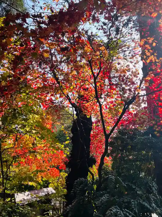 聖福寺(岩手県)