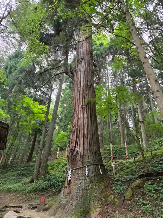 志和稲荷神社(岩手県)