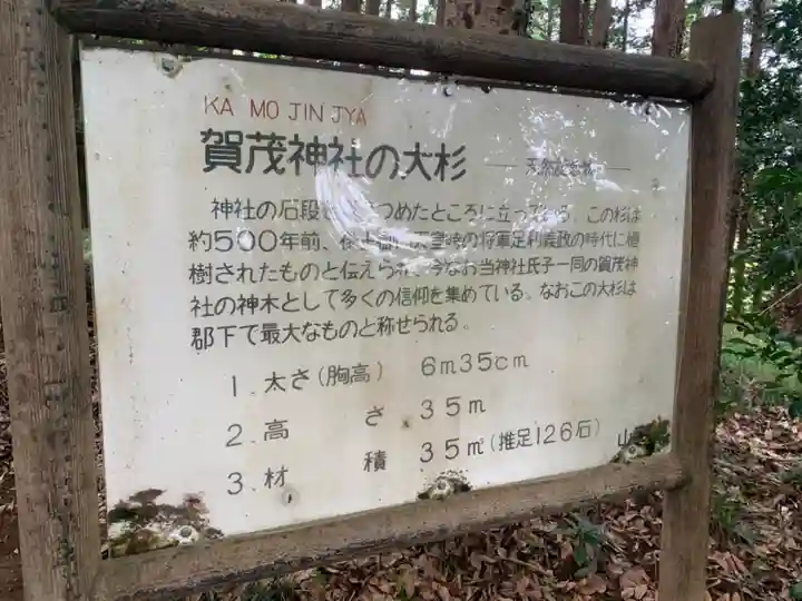 賀茂神社(千葉県)