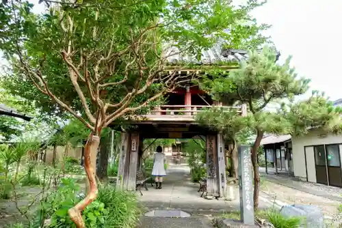 道智山 遍照院の山門