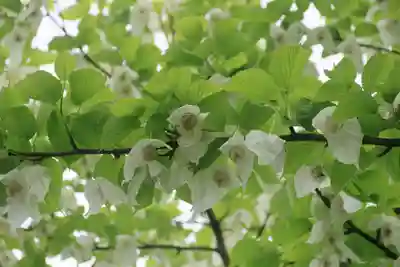 古峯神社の庭園