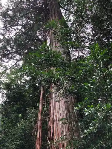 天忍穂別神社の自然