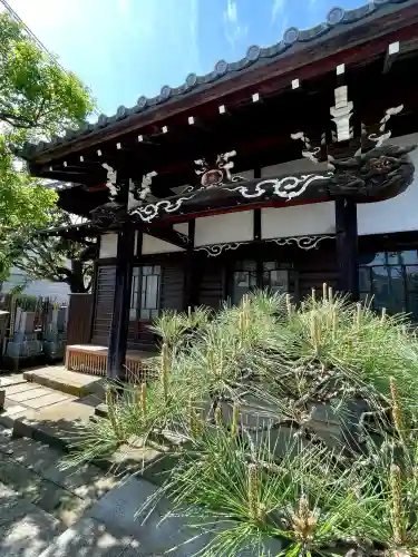 長運寺の{uncategorized: "未分類", other: "その他", undefined: "問題あり", building: "その他建物", grave: "お墓", sacred_gate: "鳥居", guardian: "狛犬", statue: "像", buddha: "仏像", history: "歴史", nature: "自然", garden: "庭園", animal: "動物", pagoda: "塔", temizu: "手水舎", mountain_gate: "山門・神門", sanctuary: "本殿・本堂", subordinate: "末社・摂社", art: "芸術", scenery: "景色", jizo: "地蔵", ema: "絵馬", goshuin: "御朱印", omikuji: "おみくじ", items: "授与品その他", amulet: "お守り", goshuincho: "御朱印帳", eats: "食事", festival: "お祭り", votive_dance: "神楽", shichigosan: "七五三参", wedding: "結婚式", experience: "体験その他", initially: "初詣", around: "周辺", anti_infection: "感染症対策"}