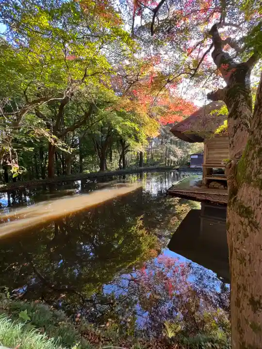 中尊寺(岩手県)
