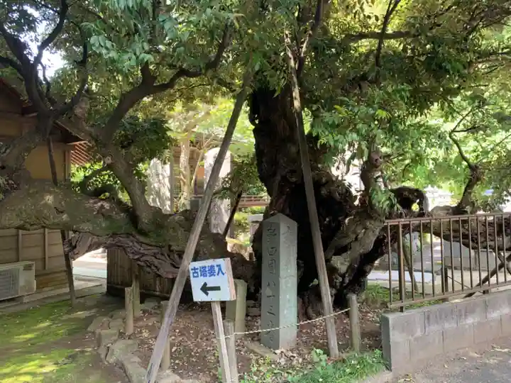 弘誓院(千葉県)