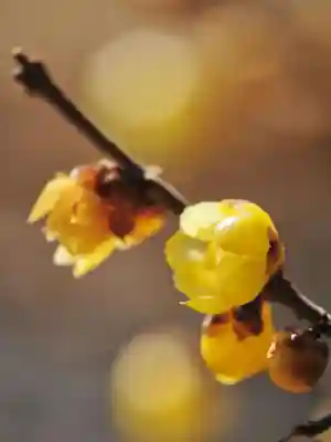 浄土寺(兵庫県)