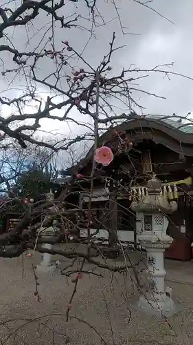 比佐豆知神社(三重県)