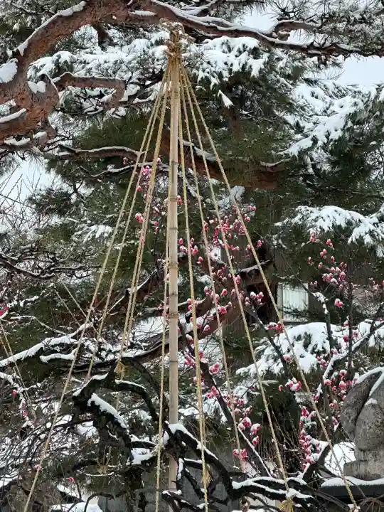 於保多神社の{uncategorized: "未分類", other: "その他", undefined: "問題あり", building: "その他建物", grave: "お墓", sacred_gate: "鳥居", guardian: "狛犬", statue: "像", buddha: "仏像", history: "歴史", nature: "自然", garden: "庭園", animal: "動物", pagoda: "塔", temizu: "手水舎", mountain_gate: "山門・神門", sanctuary: "本殿・本堂", subordinate: "末社・摂社", art: "芸術", scenery: "景色", jizo: "地蔵", ema: "絵馬", goshuin: "御朱印", omikuji: "おみくじ", items: "授与品その他", amulet: "お守り", goshuincho: "御朱印帳", eats: "食事", festival: "お祭り", votive_dance: "神楽", shichigosan: "七五三参", wedding: "結婚式", experience: "体験その他", initially: "初詣", around: "周辺", anti_infection: "感染症対策"}
