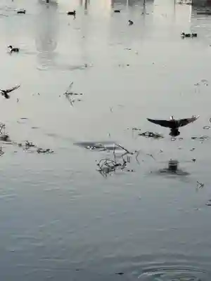 大年神社(兵庫県)
