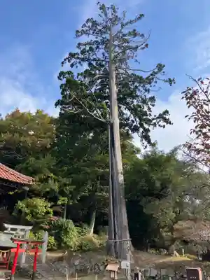 福成寺(広島県)