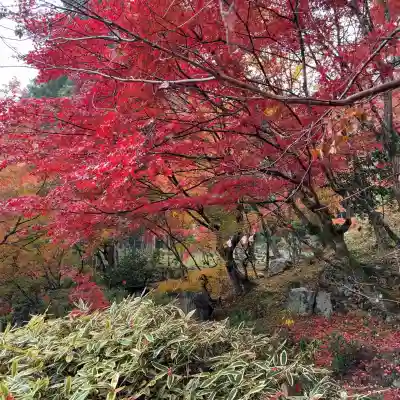 百済寺(滋賀県)