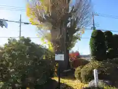 光照寺の建物その他