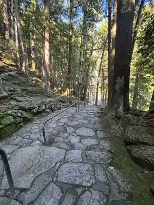 飛瀧神社(熊野那智大社別宮)(和歌山県)