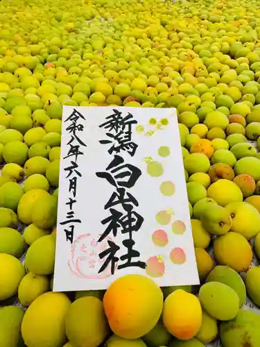 白山神社の御朱印