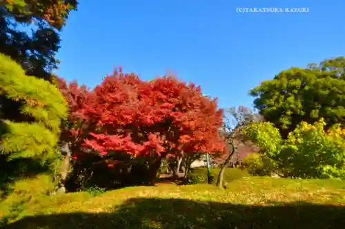 東漸寺(千葉県)