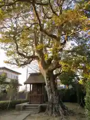 鎌足神社の建物その他